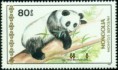 /album/fotogalerie/panda-1-jpg1/